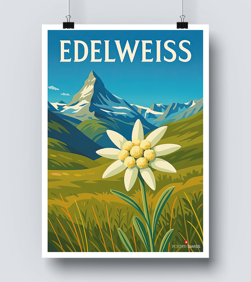Affiche Edelweiss