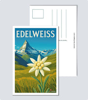Carte Postale Eldenweiss
