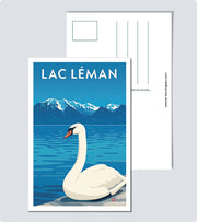 Carte Postale Cygne Lac Leman